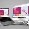Web Design & Development