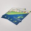 Brand Idenitity Projects 1 & 2